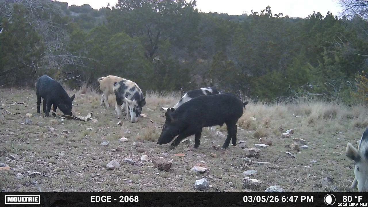 Tbd Sd 45730 Rocksprings TX 78880