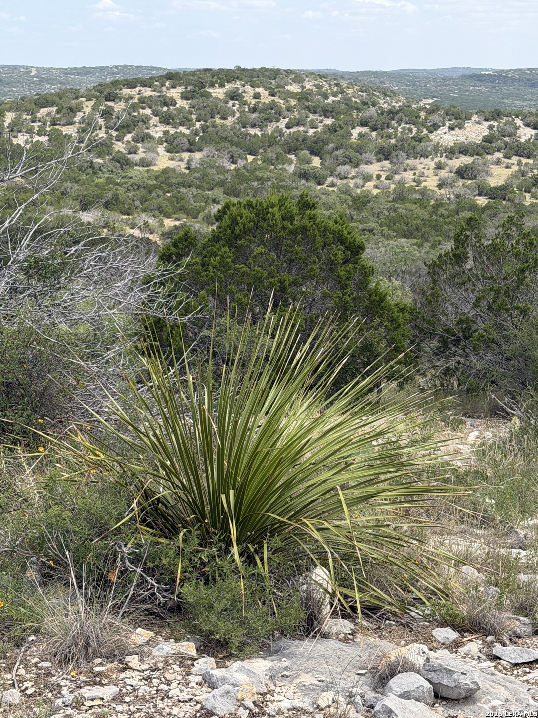 Tbd Sd 45730 Rocksprings TX 78880