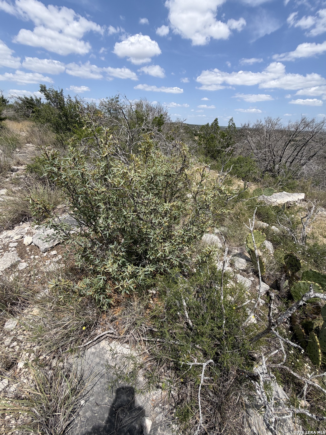 Tbd Sd 45730 Rocksprings TX 78880