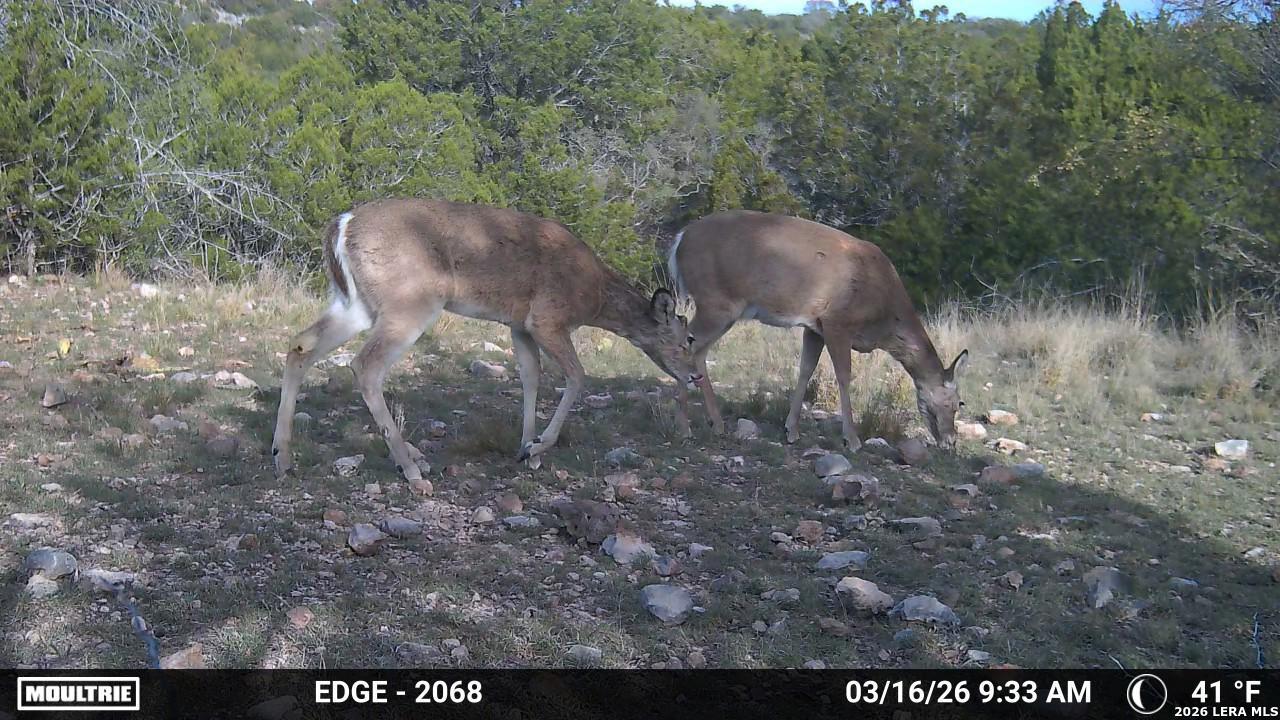 Tbd Sd 45730 Rocksprings TX 78880