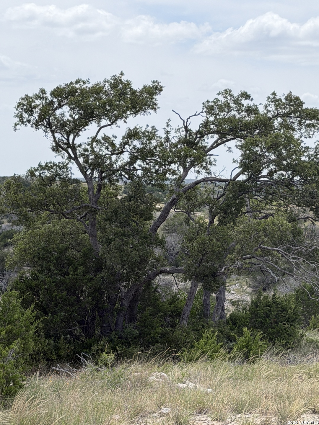 Tbd Sd 45730 Rocksprings TX 78880