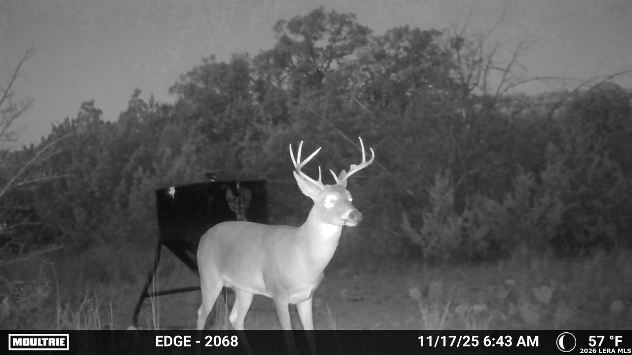 Tbd Sd 45730 Rocksprings TX 78880