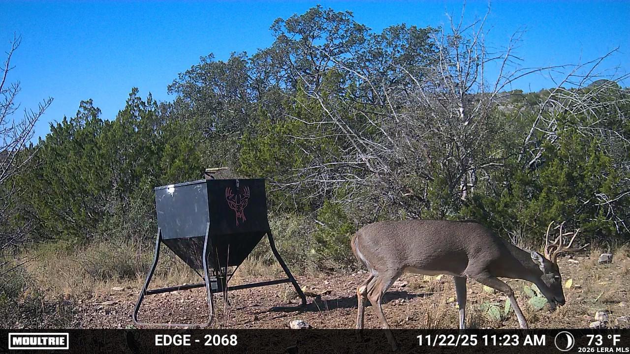 Tbd Sd 45730 Rocksprings TX 78880