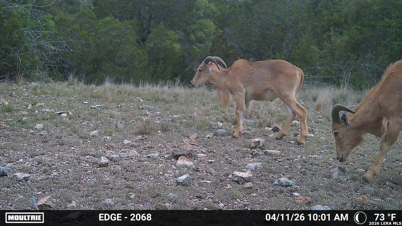 Tbd Sd 45730 Rocksprings TX 78880