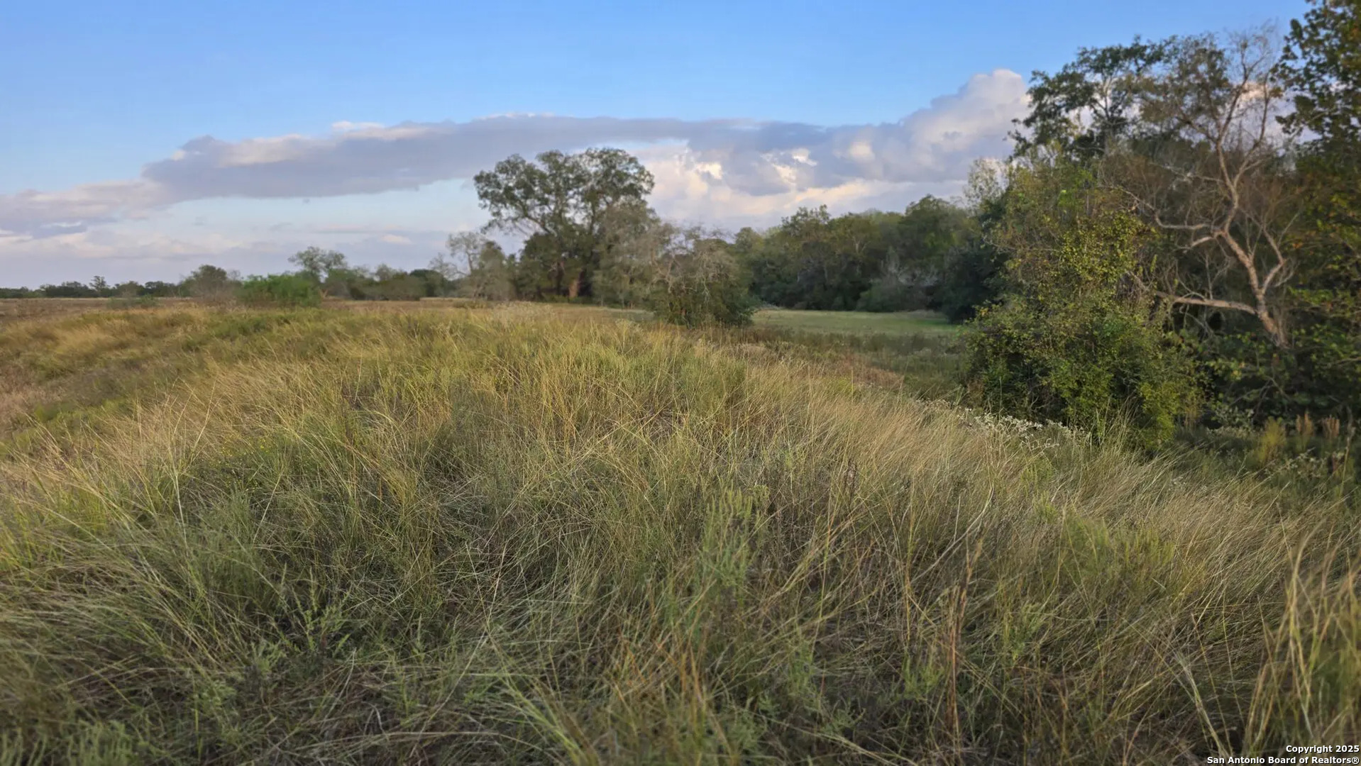 County Road 221 Schulenburg TX 78956