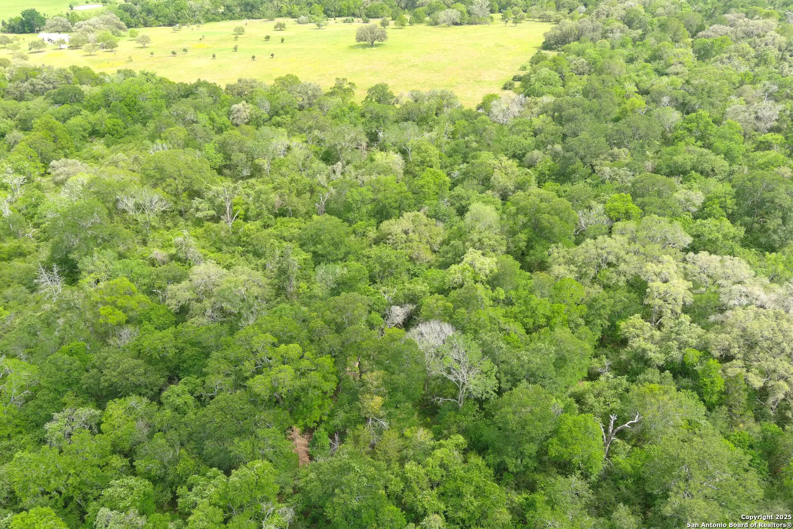 County Road 221 Schulenburg TX 78956