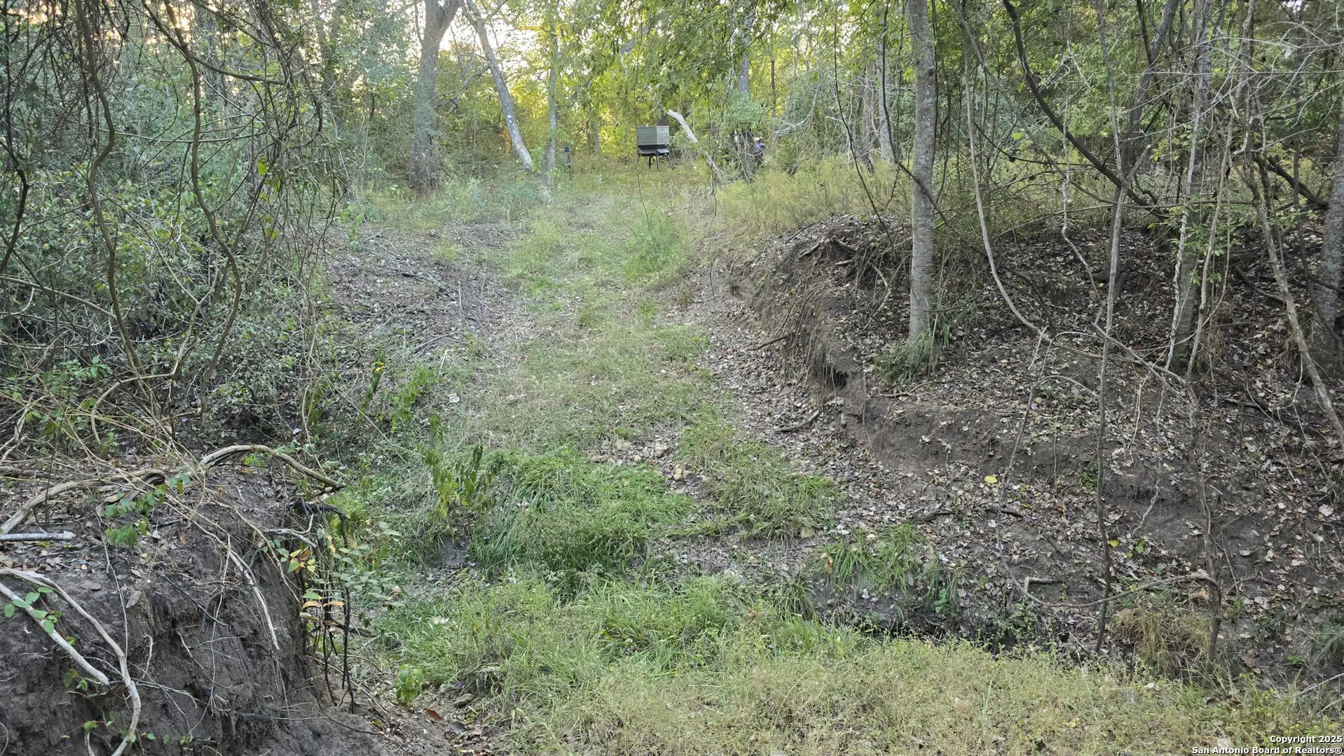 County Road 221 Schulenburg TX 78956