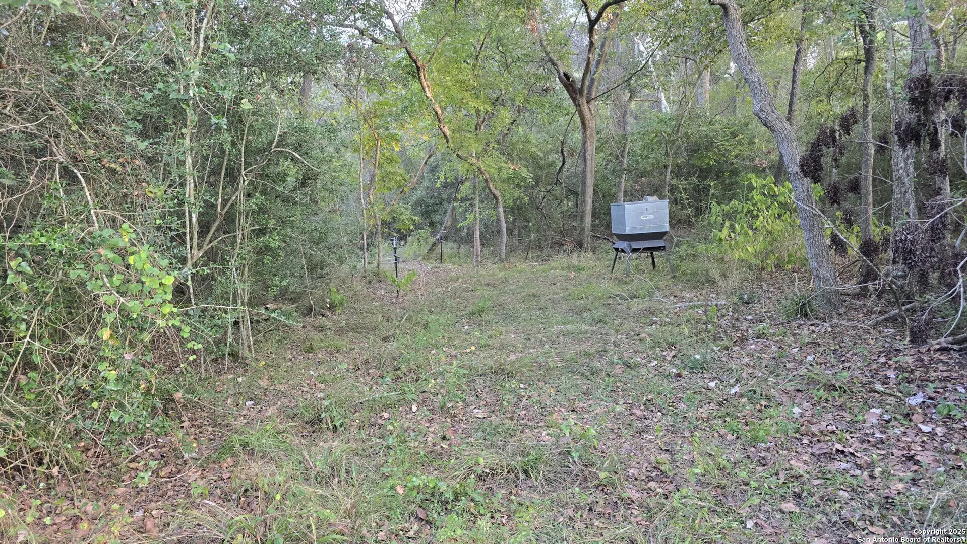 County Road 221 Schulenburg TX 78956