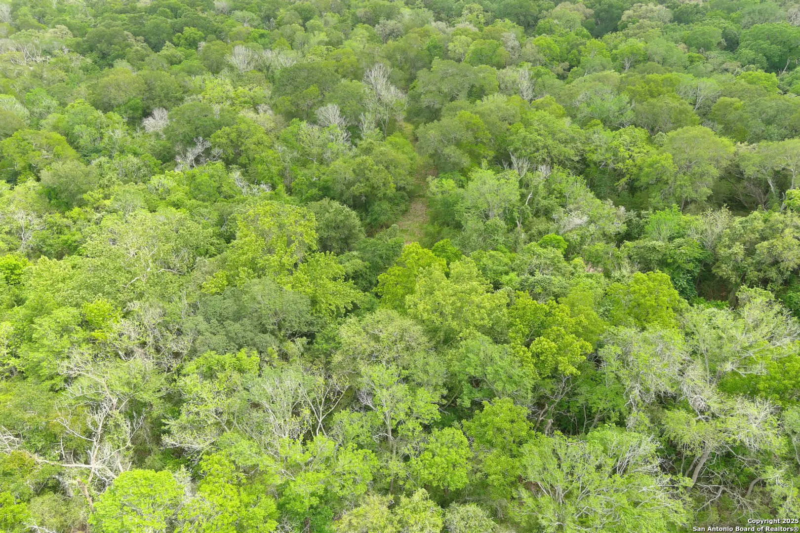 County Road 221 Schulenburg TX 78956