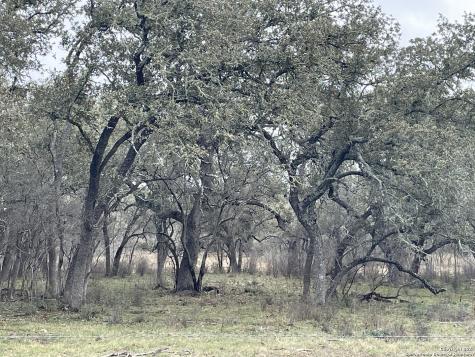000 County Road 311 Dhanis TX 78850