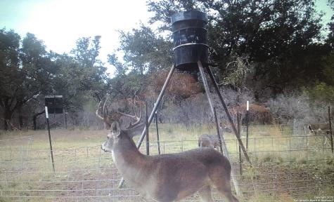 000 County Road 311 Dhanis TX 78850