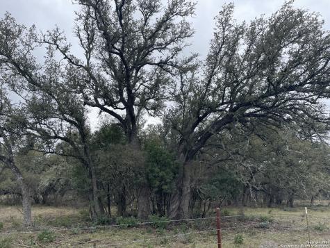 000 County Road 311 Dhanis TX 78850