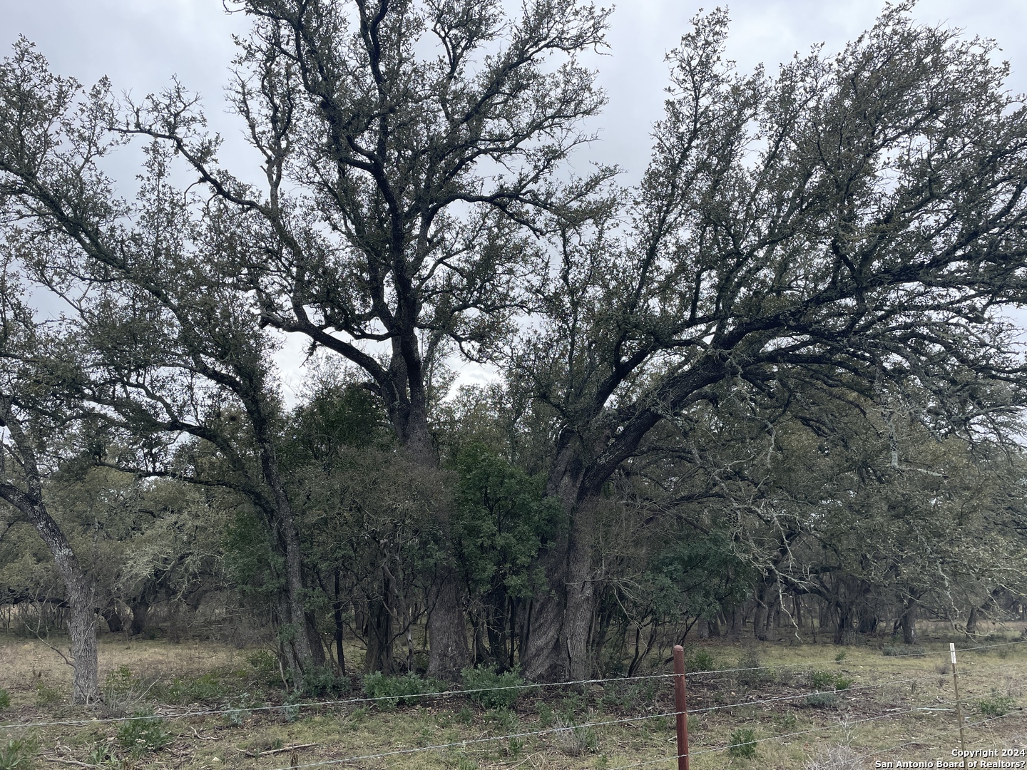 000 County Road 311 Dhanis TX 78850