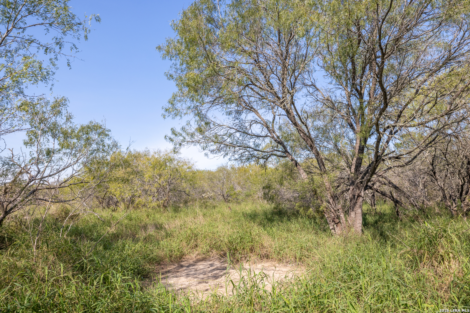 0 Fm 666 At County Road 1168 Mathis TX 78368