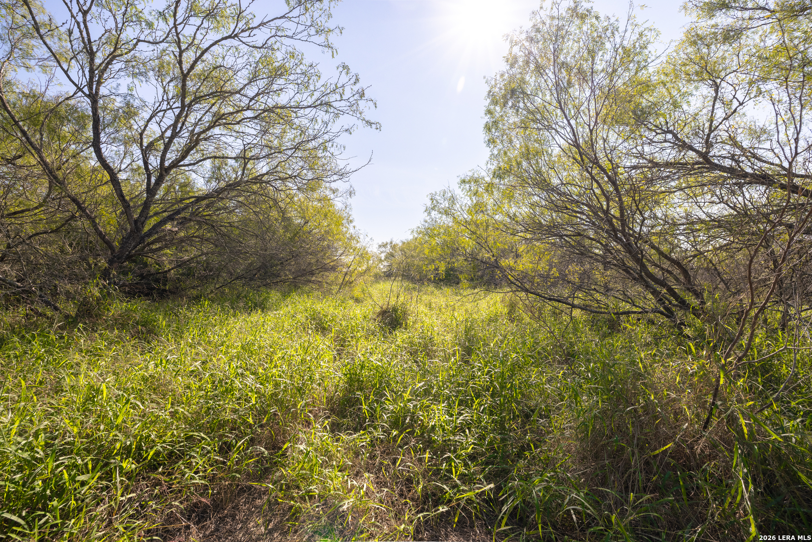 0 Fm 666 At County Road 1168 Mathis TX 78368