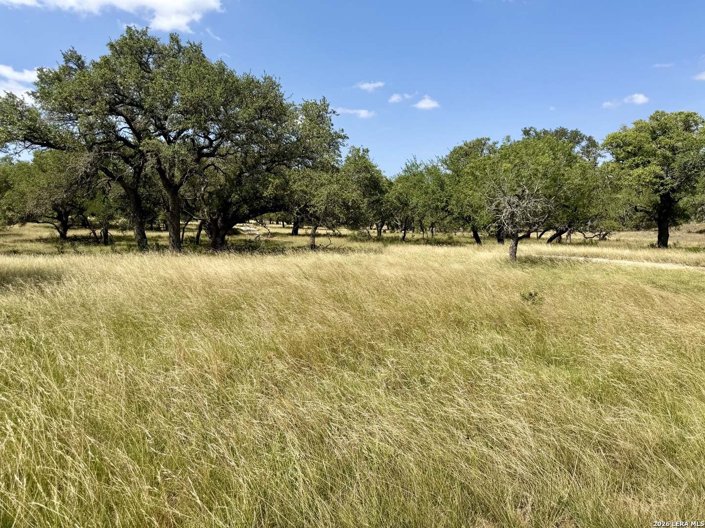 43 Acres Sattler Road Spring Branch TX 78070