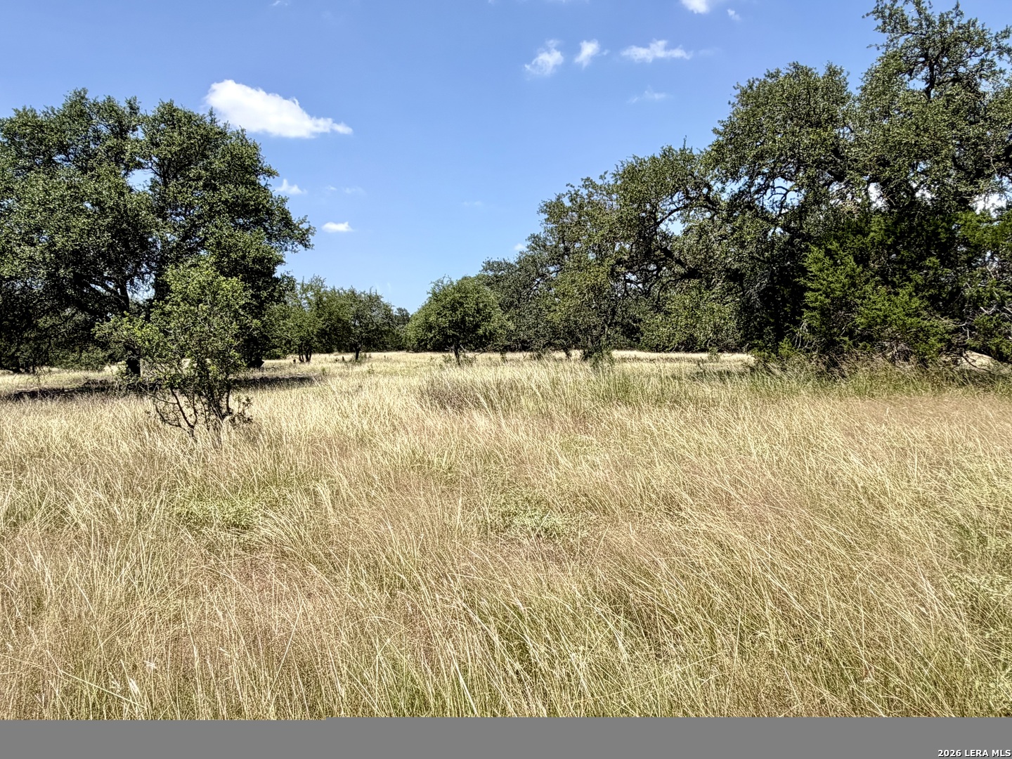 43 Acres Sattler Road Spring Branch TX 78070