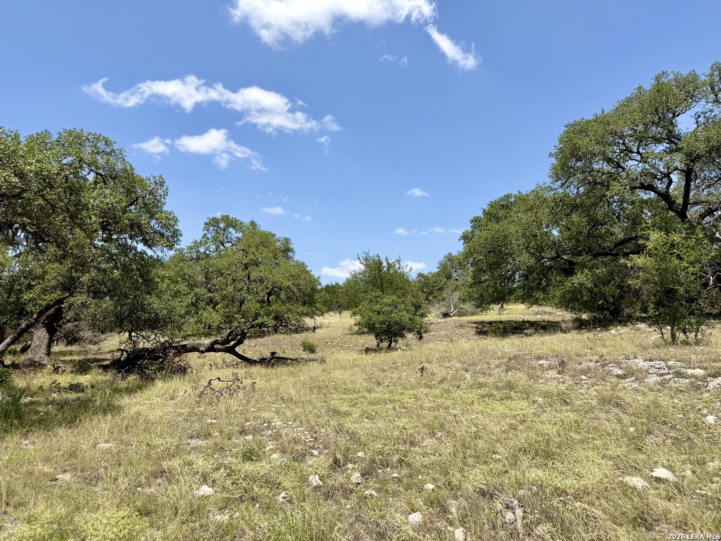 43 Acres Sattler Road Spring Branch TX 78070