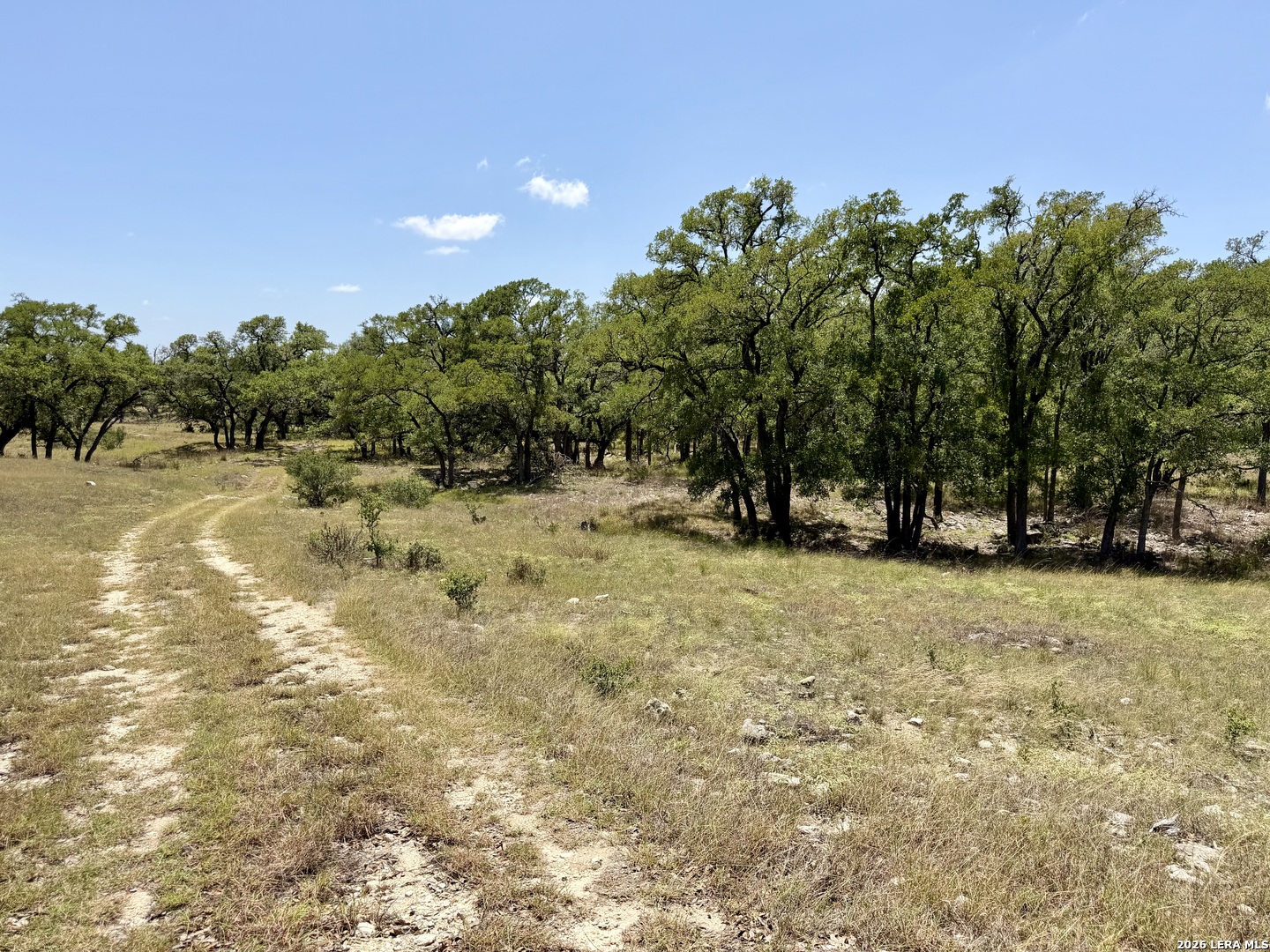 43 Acres Sattler Road Spring Branch TX 78070