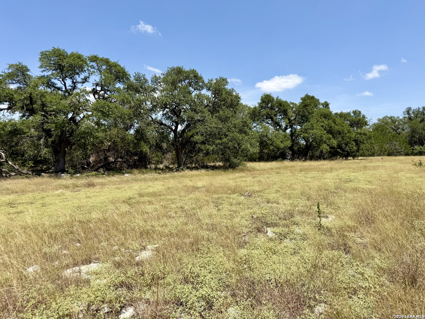 43 Acres Sattler Road Spring Branch TX 78070