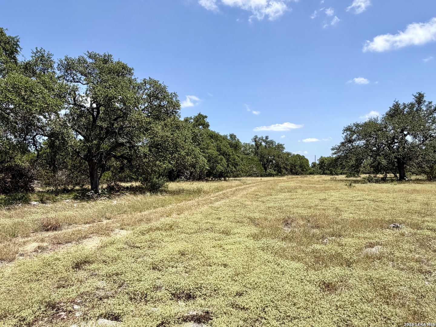 43 Acres Sattler Road Spring Branch TX 78070