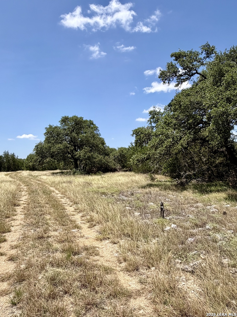 43 Acres Sattler Road Spring Branch TX 78070