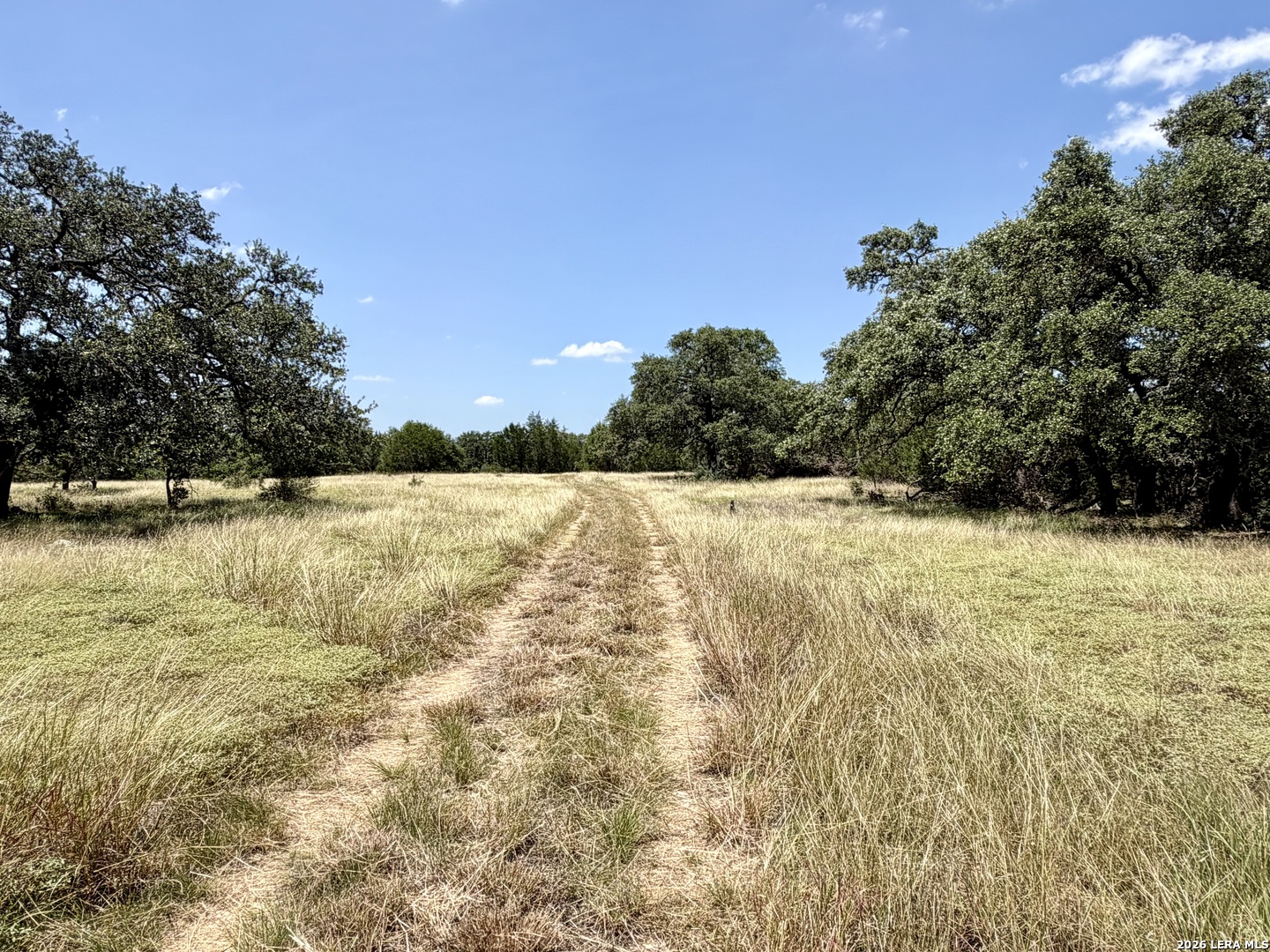 43 Acres Sattler Road Spring Branch TX 78070
