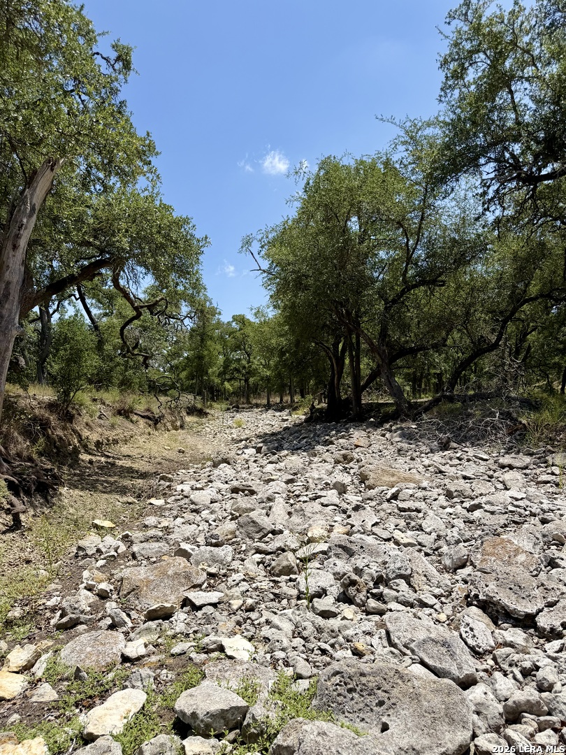 43 Acres Sattler Road Spring Branch TX 78070
