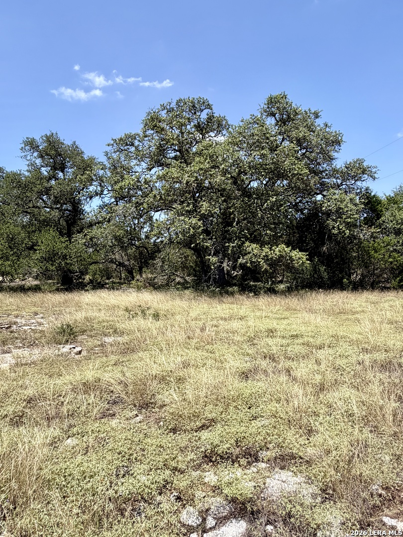 43 Acres Sattler Road Spring Branch TX 78070