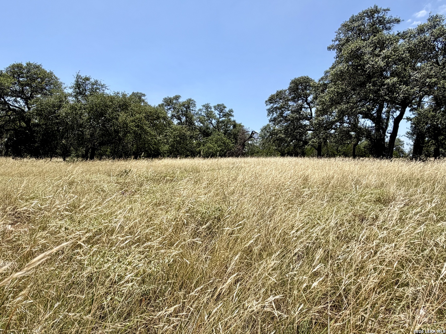 43 Acres Sattler Road Spring Branch TX 78070