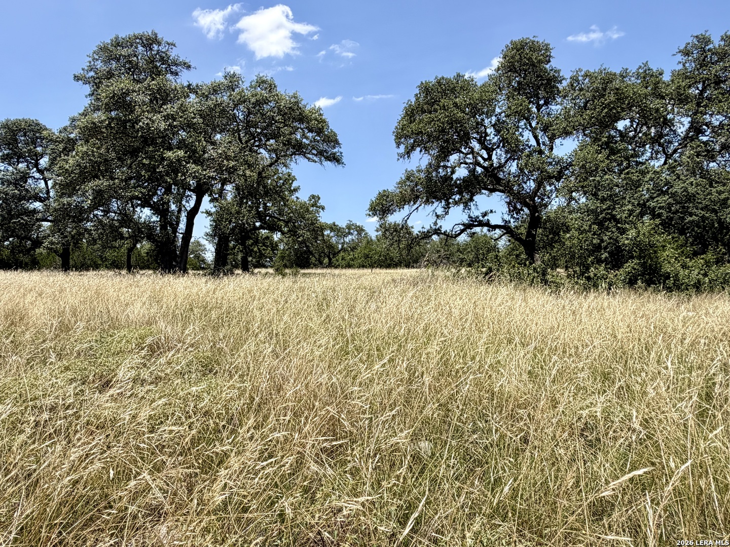 43 Acres Sattler Road Spring Branch TX 78070