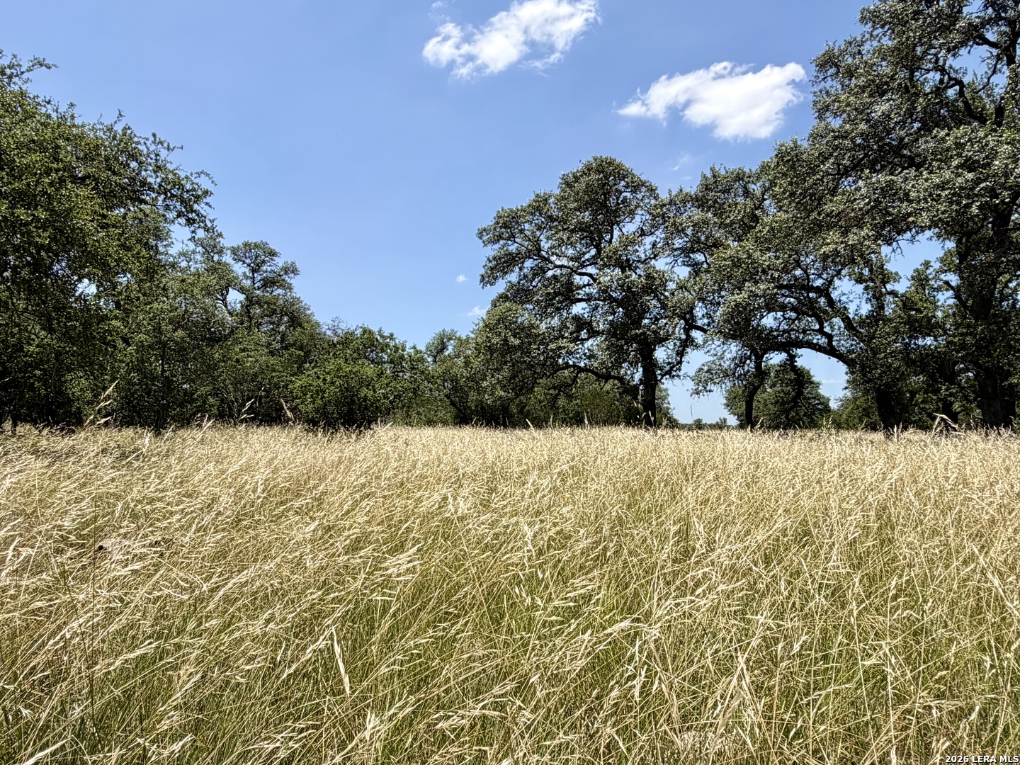 43 Acres Sattler Road Spring Branch TX 78070
