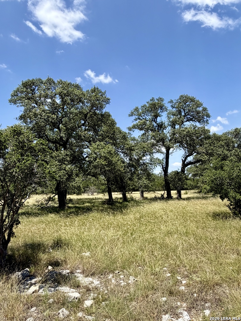 43 Acres Sattler Road Spring Branch TX 78070