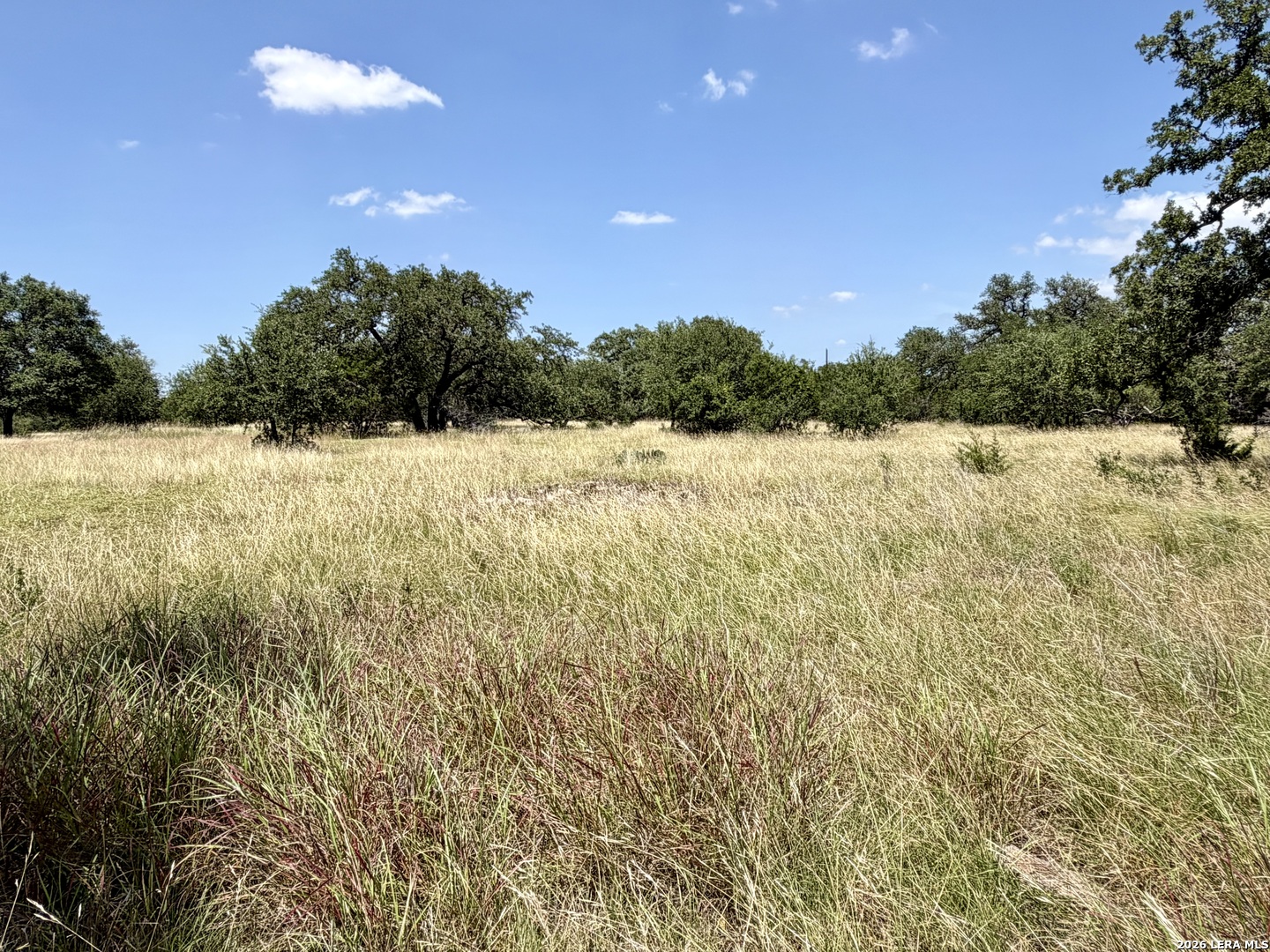 43 Acres Sattler Road Spring Branch TX 78070