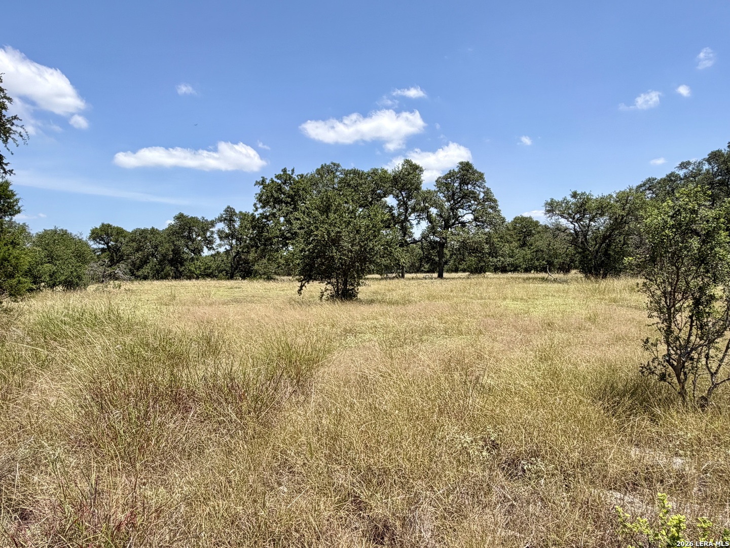 43 Acres Sattler Road Spring Branch TX 78070