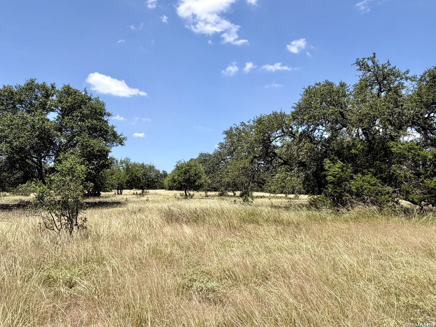 43 Acres Sattler Road Spring Branch TX 78070