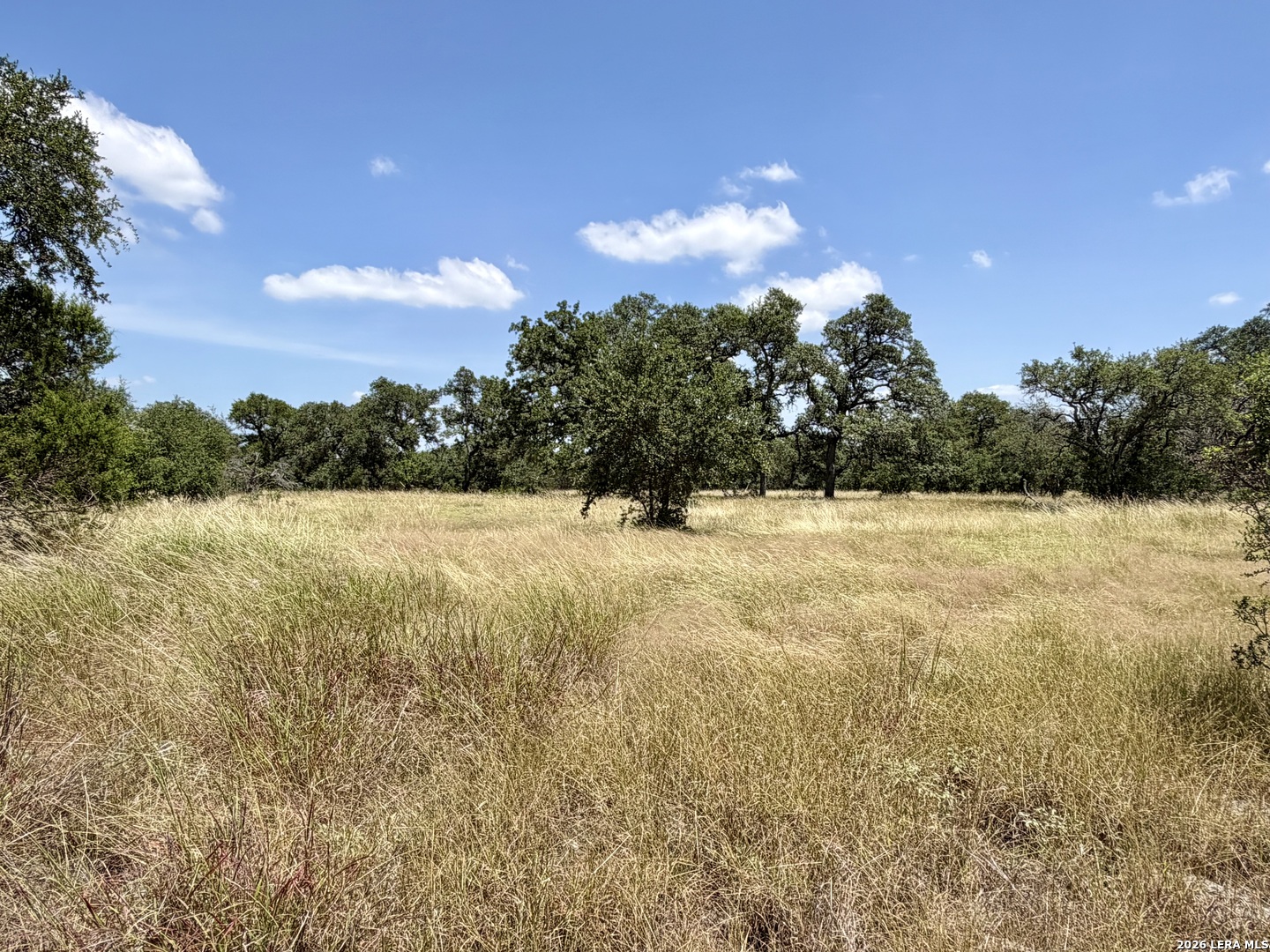 43 Acres Sattler Road Spring Branch TX 78070