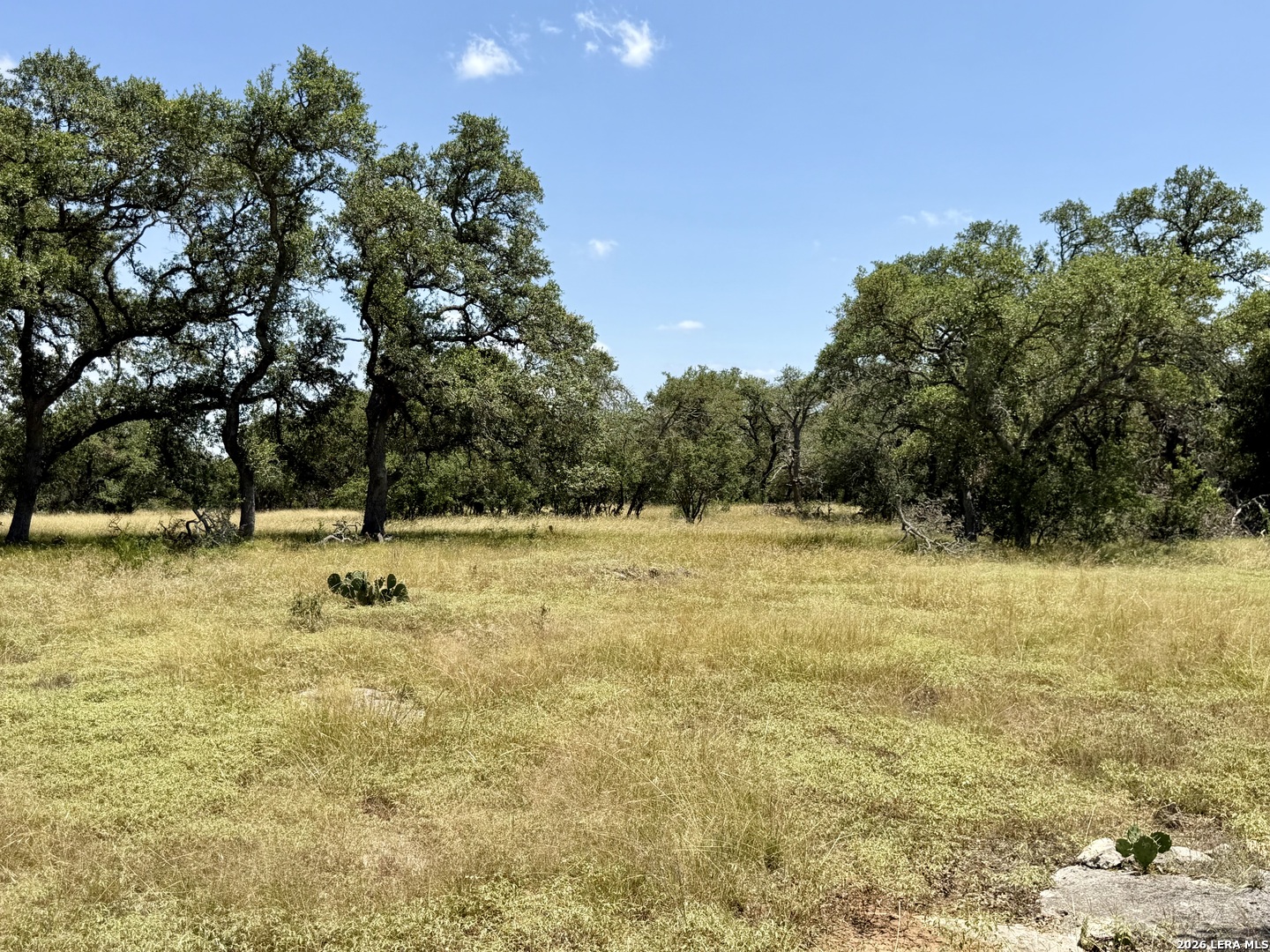 43 Acres Sattler Road Spring Branch TX 78070