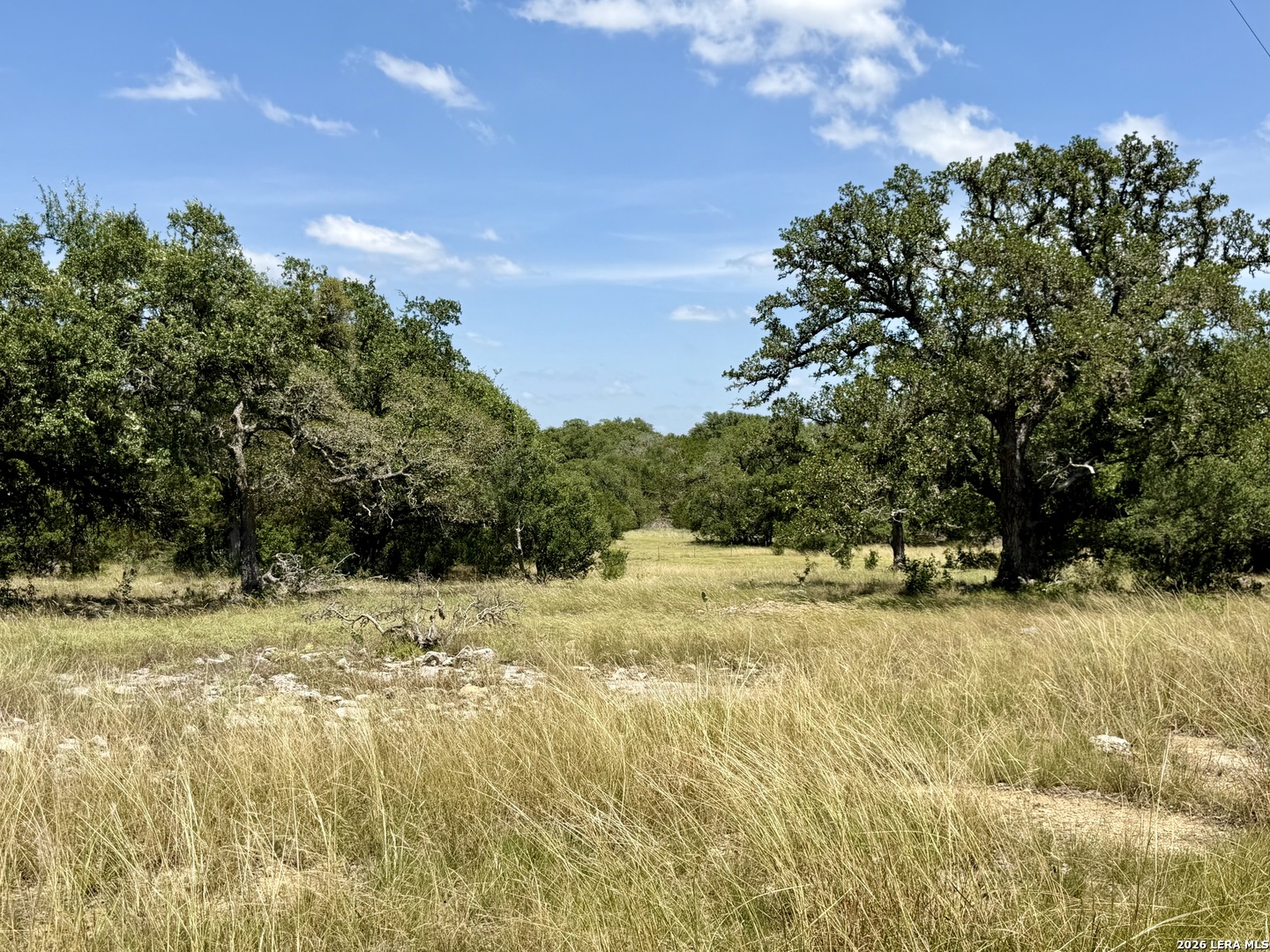 43 Acres Sattler Road Spring Branch TX 78070