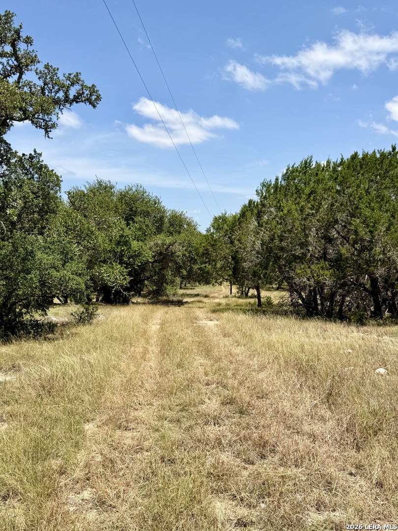 43 Acres Sattler Road Spring Branch TX 78070