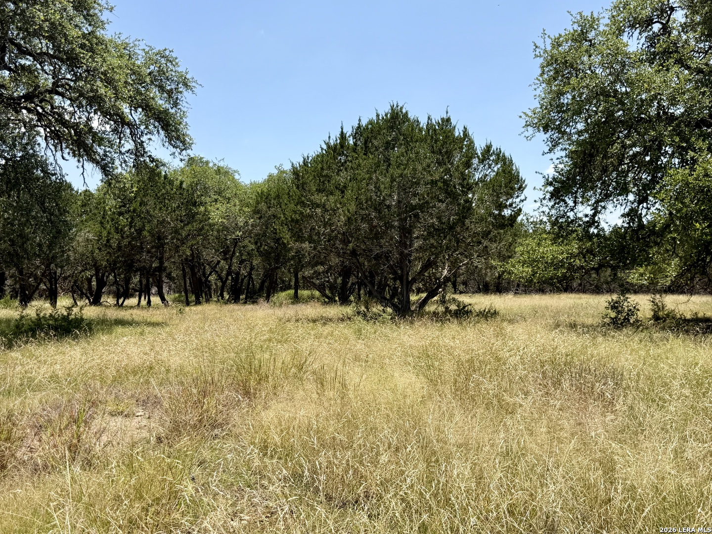 43 Acres Sattler Road Spring Branch TX 78070