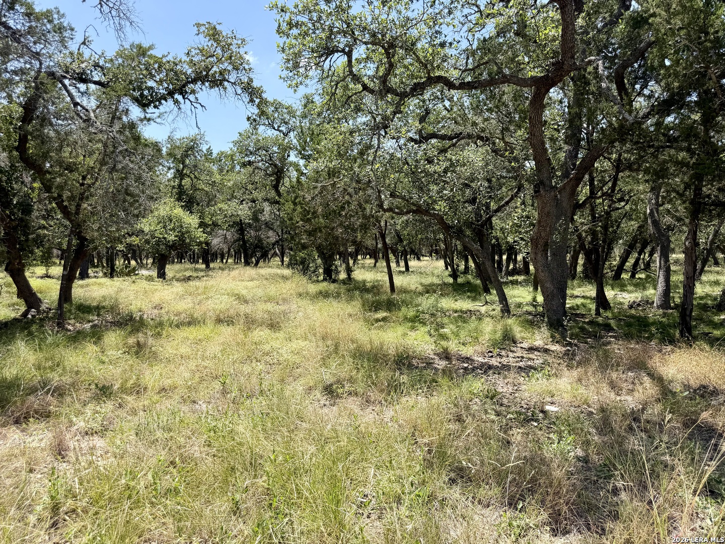 43 Acres Sattler Road Spring Branch TX 78070