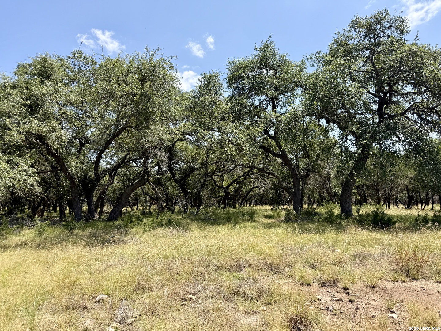 43 Acres Sattler Road Spring Branch TX 78070
