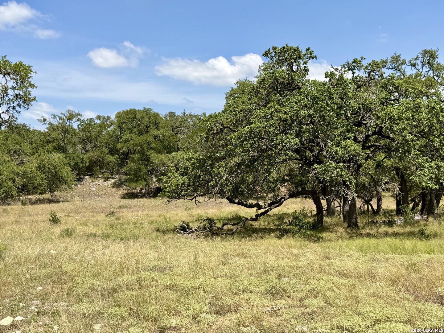 43 Acres Sattler Road Spring Branch TX 78070