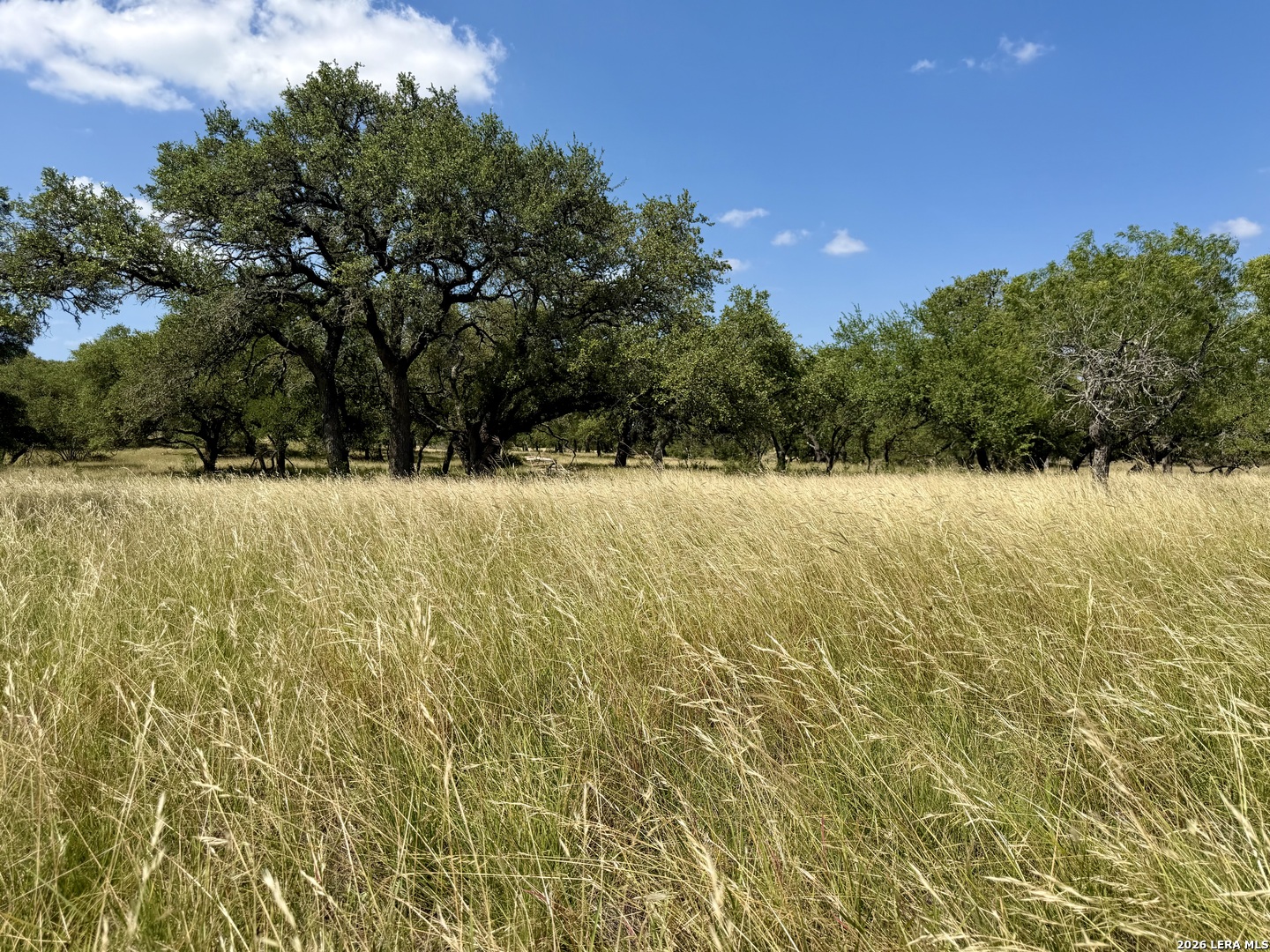 43 Acres Sattler Road Spring Branch TX 78070