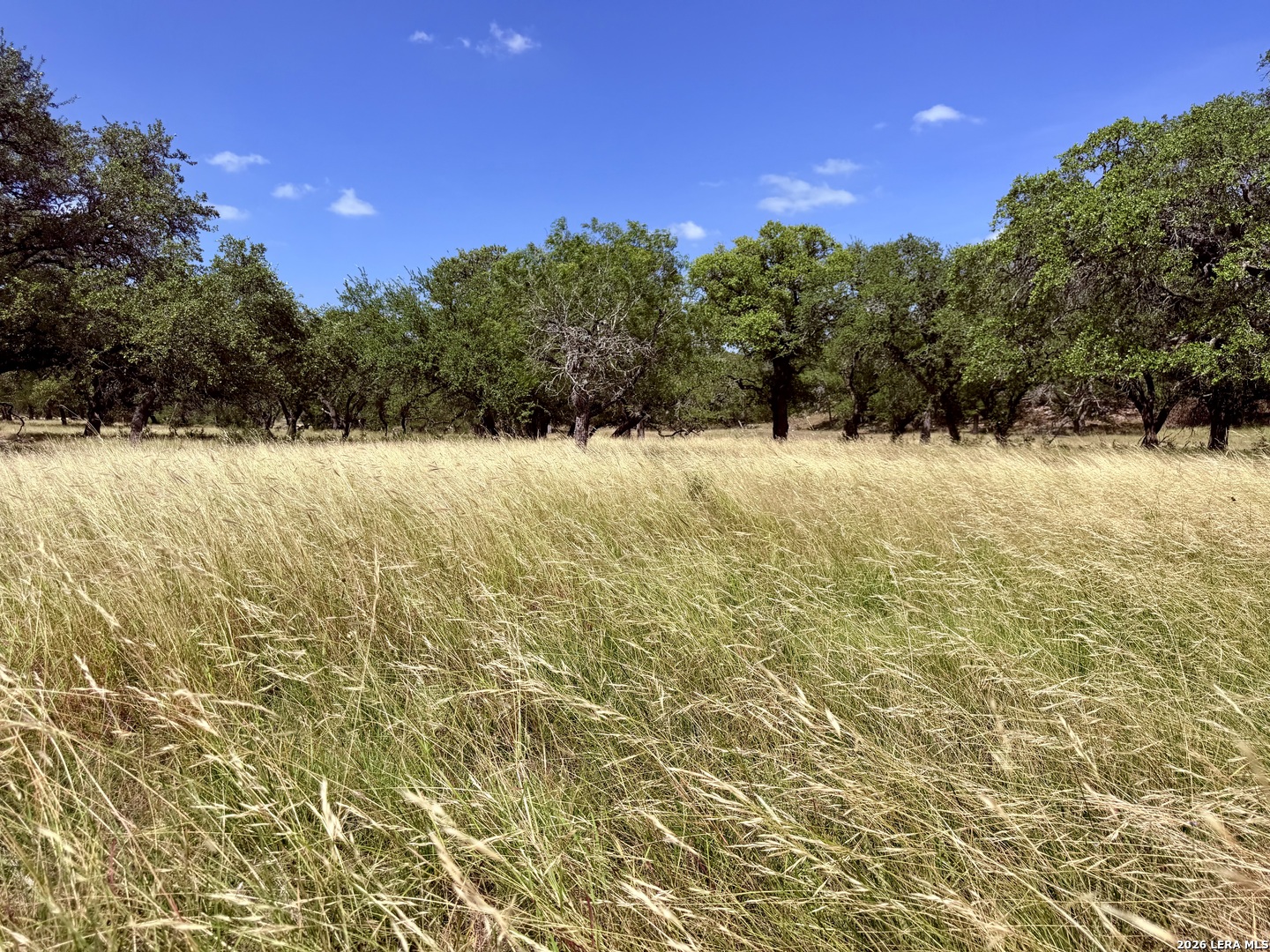 43 Acres Sattler Road Spring Branch TX 78070