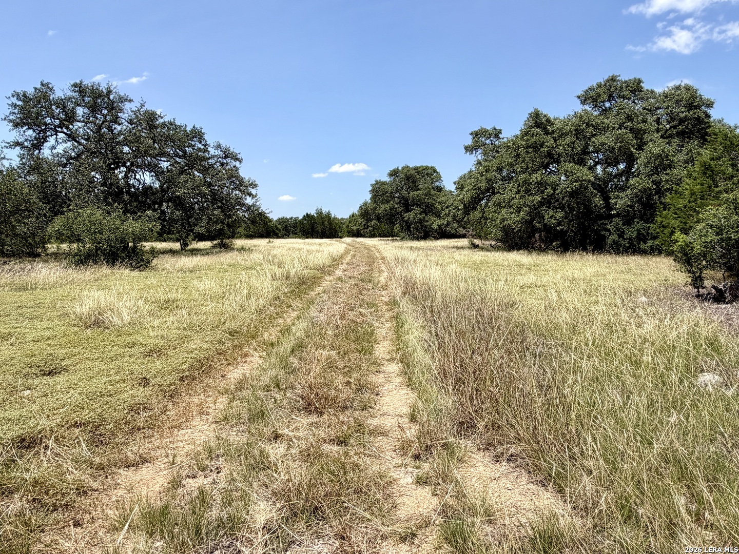 43 Acres Sattler Road Spring Branch TX 78070