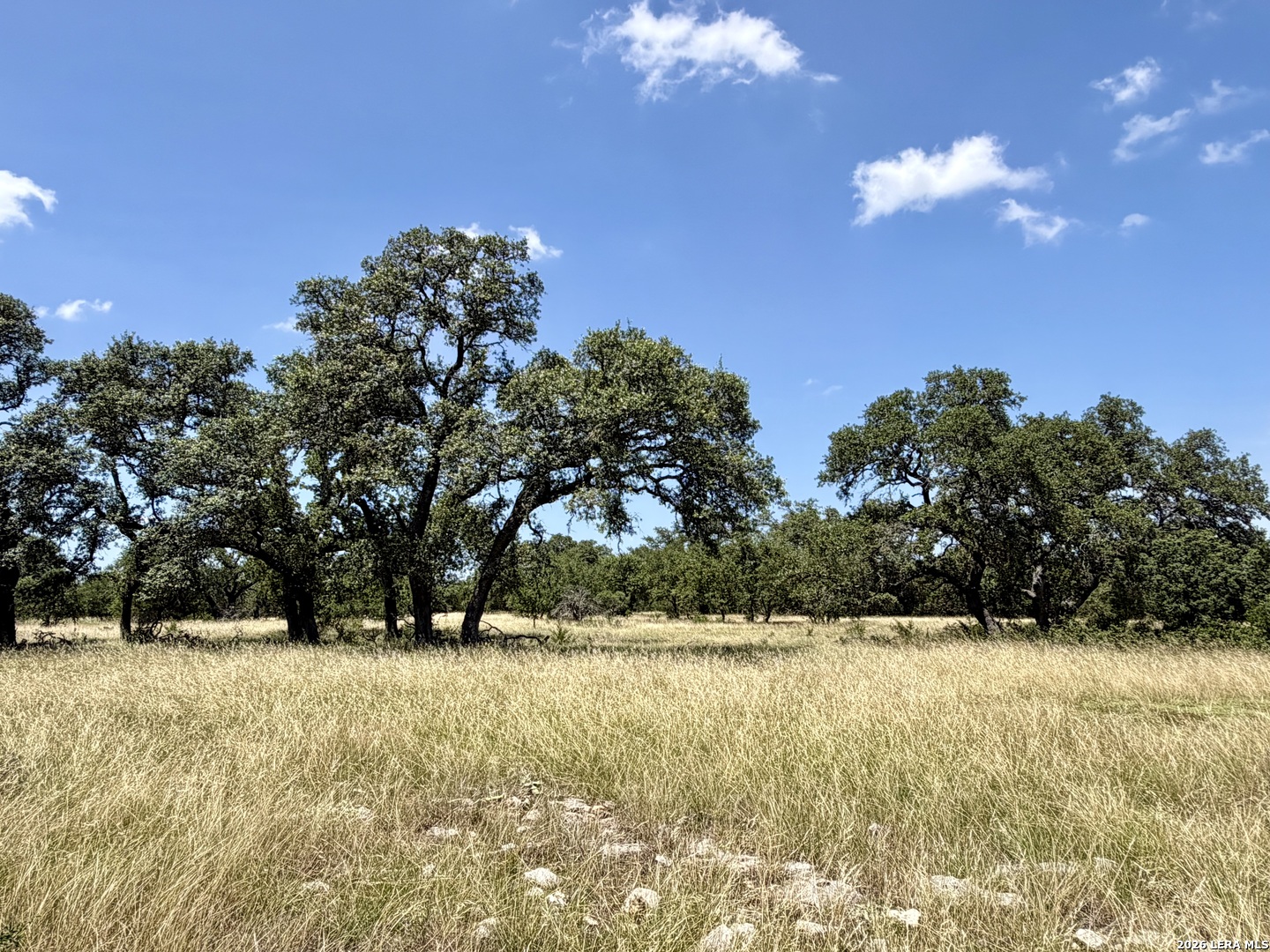 43 Acres Sattler Road Spring Branch TX 78070