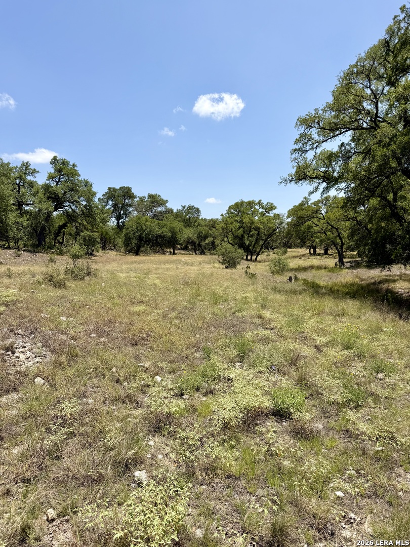 43 Acres Sattler Road Spring Branch TX 78070
