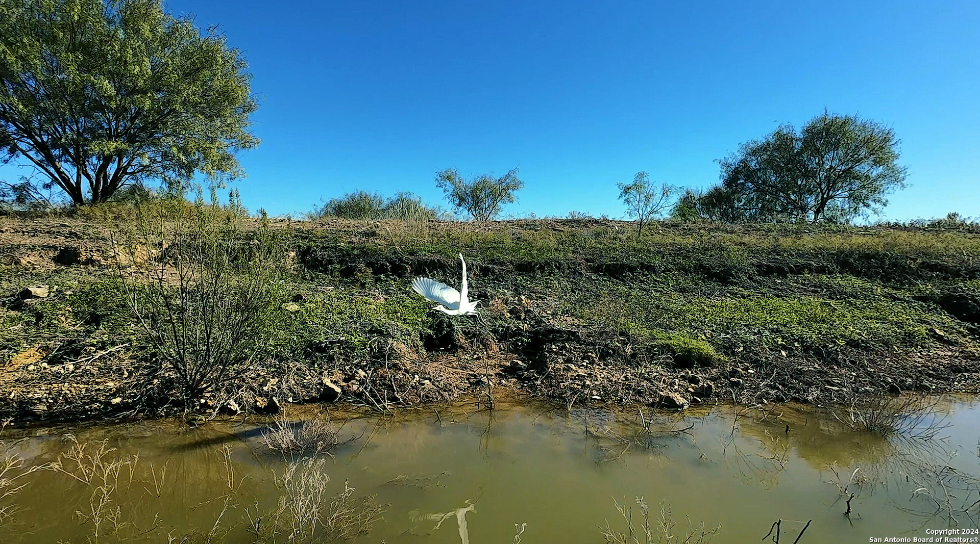 2433 Highway 588 Comanche TX 76442